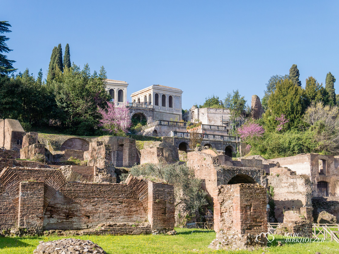 Blick vom Forum Romanum hinauf zum Palatin