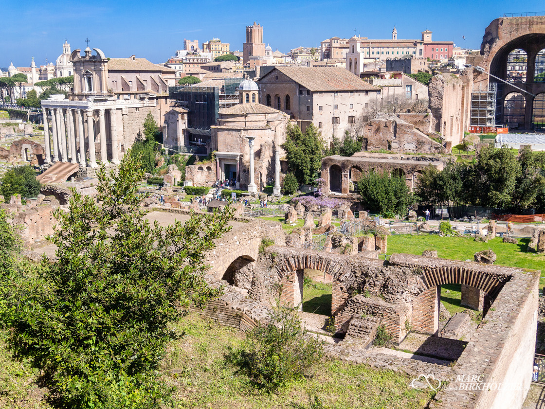 Blick vom Palatin hinunter auf das Forum Romanum