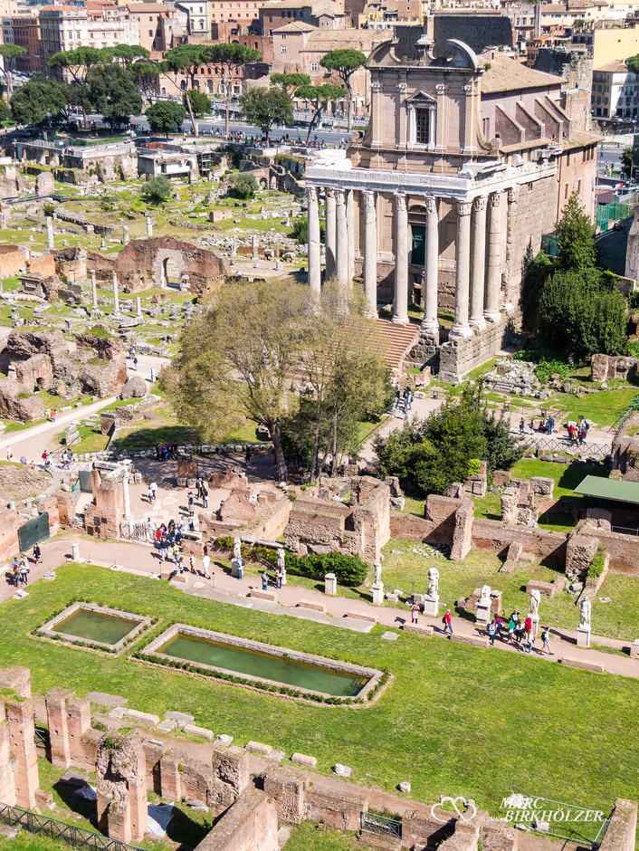 Blick hinunter in das Forum Romanum