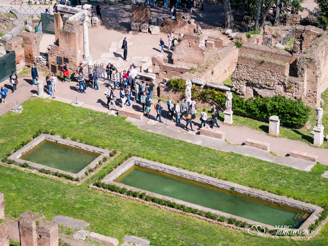 Blick hinunter in das Forum Romanum
